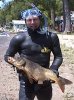 carp3.jpg