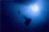 big_blue_small.jpg