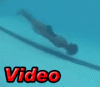 freediving_video.gif