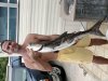 cobia.jpg