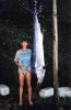 marlin1  copy.jpg