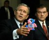 bush.jpg