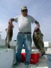polo n grouper.jpg