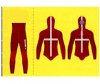 wetsuit.jpg