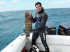 black grouper.jpg