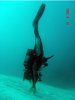 upside down 2.jpg