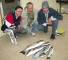 fishes2.jpg