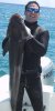 cobia313.jpg