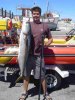 nico yellowtail 13kg.jpg