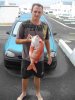 maruis red stumpnose 4kg.jpg