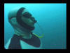 da2.gif