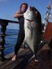 rabitech 45kg kingy.jpg