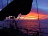 rabitech sunset.jpg