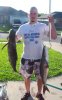josh\'s cobia.jpg