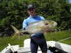 yellow jack friday.jpg