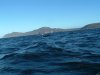 cape point 10 july 2004 whale tail.jpg