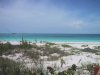 img_1006.jpg.jpg