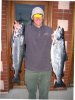 salmon1sm.jpg