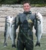 3bass small.jpg