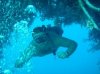 freediver.jpg