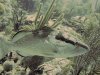 regrouper copy.jpg