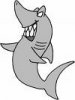 shark.jpg