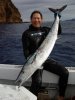 Ono 2008 016SB.jpg