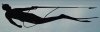 Champion Divers logo.JPG