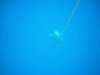 DSCN0557.jpg
