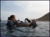 IMG_4352 copy_600x450.jpg
