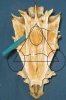 Top view.JPG
