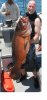 Panama Cubera 50lbs..jpg