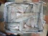 fillets.JPG