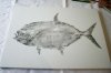 h2gyotaku6.jpg