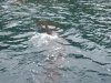 2008_0607fishing30057.jpg