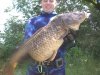 fat carp.jpg