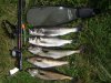july bag.JPG