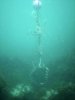 lost crab pot.jpg