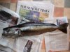 2008_07200005.JPG