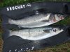 2008_07280003.JPG 2008_07280003.JPG