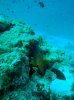 DSC00446.jpg