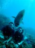 DSC00480.jpg