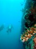 DSC00567.jpg