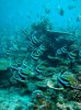 DSC00556.jpg