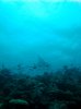 DSC00634.jpg