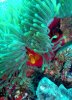 DSC00594.jpg