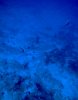 DSC00731.jpg