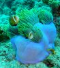 DSC00843.jpg