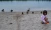 feathered freinds.jpg