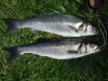 2008_09170002.JPG
